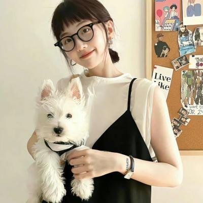 隋唐英雄
